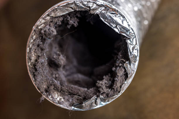 Best Local Air Duct Cleaning Services  in Sachse, TX