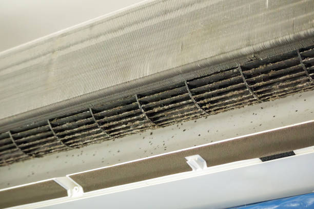 Best Home Air Vent Cleaning  in Sachse, TX